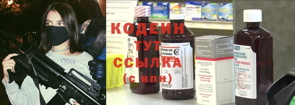 прущие грибы Балахна