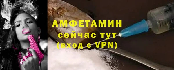 прущие грибы Балахна