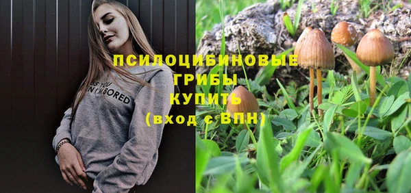прущие грибы Балахна