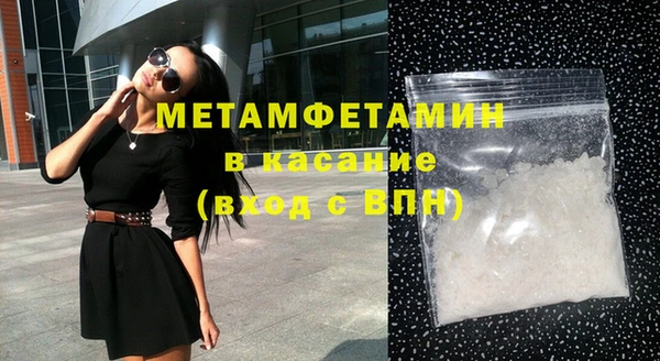 прущие грибы Балахна