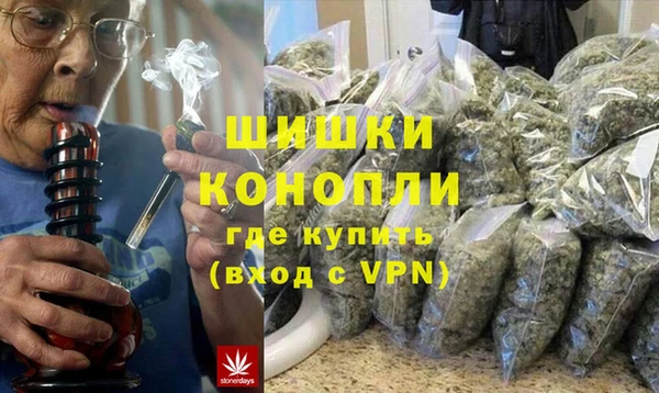 прущие грибы Балахна