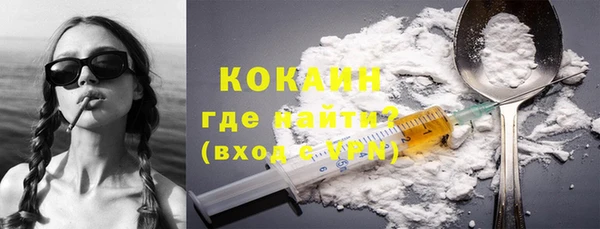 прущие грибы Балахна