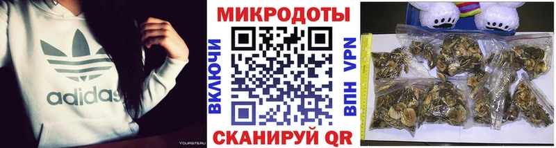 Галлюциногенные грибы Cubensis  Липецк 